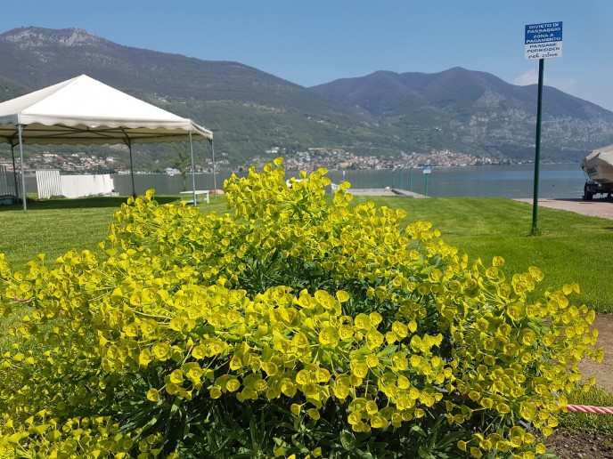 camping Belvedere Clusane campeggio