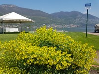 scorcio camping sul lago d